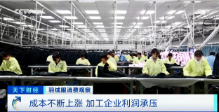 羽絨服輪番漲價(jià) 中高端產(chǎn)品還賣(mài)得更火了？